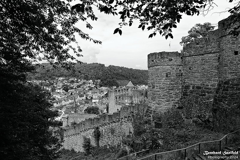Bernhard Saalfeld - Burg Wertheim (8v9)